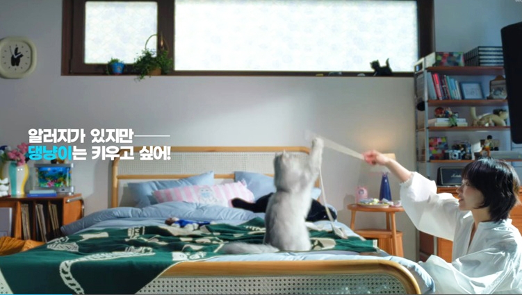 어떤 평범함은 가장 특별해질 수 있다 이미지