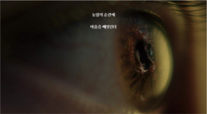 카메라를 잊는 순간 이미지